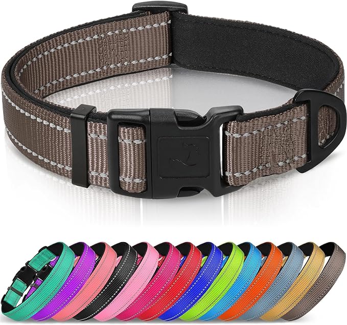 Joytale Reflective Dog Collar, Soft Neoprene Padded, Metal D-Ring, Nylon Pet Collar Adjustable for Large Dogs, Brown, Large