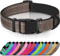 Joytale Reflective Dog Collar, Soft Neoprene Padded, Metal D-Ring, Nylon Pet Collar Adjustable for Puppy and Small Dogs, Brown, XSmall