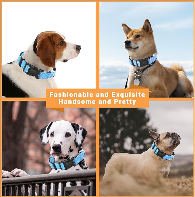 2 Pack Reflective Dog Collar with Safety Locking Buckle, Adjustable Soft Breathable Comfortable Nylon Pet Collar for Small, Medium and Large Dogs, SkyBlue, S