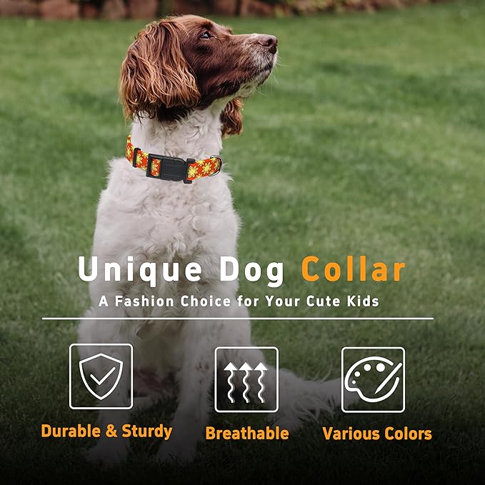 Dog Collar, Classical Indian Spirit Boys Girls Puppy Collar for Small Medium Large Dogs, Adjustable Soft Indian Pet Collar with Safety Buckle for Male Females(Yellow,XL)