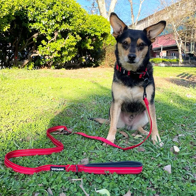 Best Pet Supplies Voyager Reflective Dog Leash or Collar with Neoprene Handle, for Small, Medium, and Large Breed Puppies, Cute and Heavy Duty for Walking, Running and Training - Red Leash, L