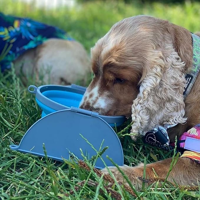 Loving Pets - Bella Roma Portable Travel Dog Bowl Collapsible Dog Food & Water Bowl (Blue, Medium)