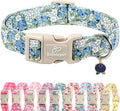 Blueberry Pattern Dog Collar, Cute Light Blue Spring Summer Puppy Collar - Soft Adjustable Designer Dog Collars for Small Medium Large Dogs XL