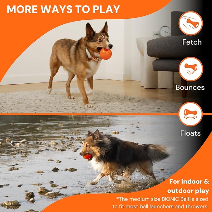 BIONIC Ball Dog Toy, Medium - Interactive Dog Chew Toy That Stands Up to The Toughest Chewers, for Dogs Between 15-35 lbs. (7-15 kg.)