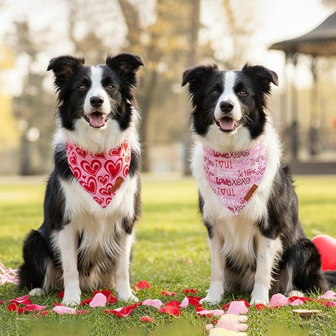 ADOGGYGO Valentine Dog Bandanas 2 Pack, Reversible Heart Love Print Pet Scarf, Premium Fabric, Adjustable Fit Pink Red Valentine Bandanas for Extra Large Dogs (X-Large)