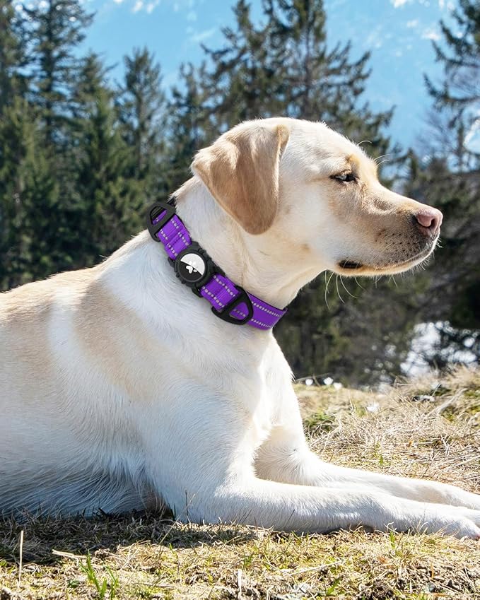 Joytale Airtag Dog Collar, Reflective Pet Collar with Waterproof AirTag Holder, Dual D-Rings, Soft Padded Adjustable for Extra Large Dogs, Purple, XL