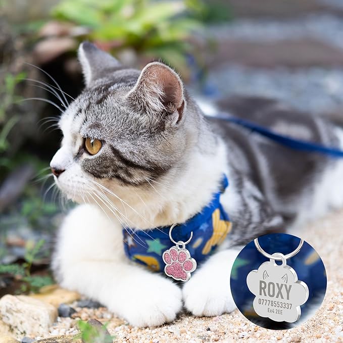 EDSG Cat Dog Tags Personalized for Pets, Dog Name Tags Cat Name ID Tag, Engraved Dog Tags Dog ID Tags Small Glitter Bling ID Tag Paw Print for Cat Pet Dog Puppy(Pink,Design 1)