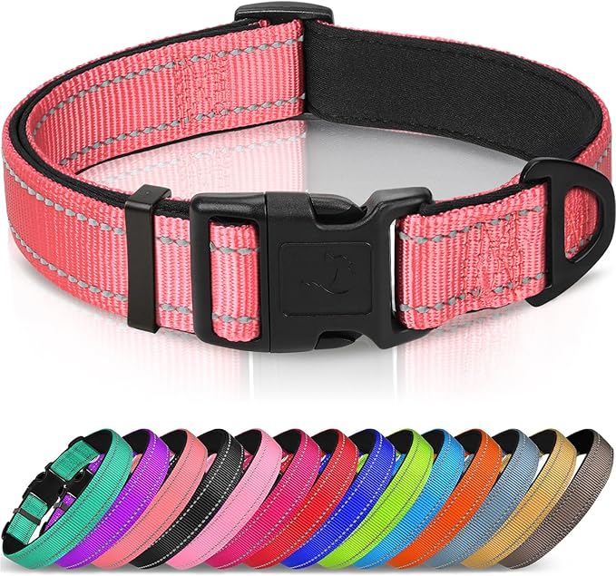 Joytale Reflective Dog Collar, Soft Neoprene Padded, Metal D-Ring, Nylon Pet Collar Adjustable for Puppy and Small Dogs, Neon Pink, XS