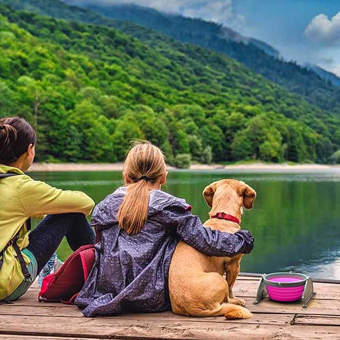 Loving Pets Bella Roma Collapsible Dog Bowls - Silicone Dog Bowls, Foldable Bowl, Puppy Essentials & Hiking Pet Supplies Great for Home & Travel (Pink, Medium)