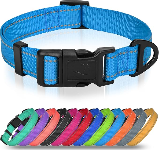 Joytale Small Dog Collar, Reflective and Adjustable Nylon Collar with Quick-Release Buckle, Lightweight No-Choke Design for Small Dogs, Sky Blue, 5/8" Width