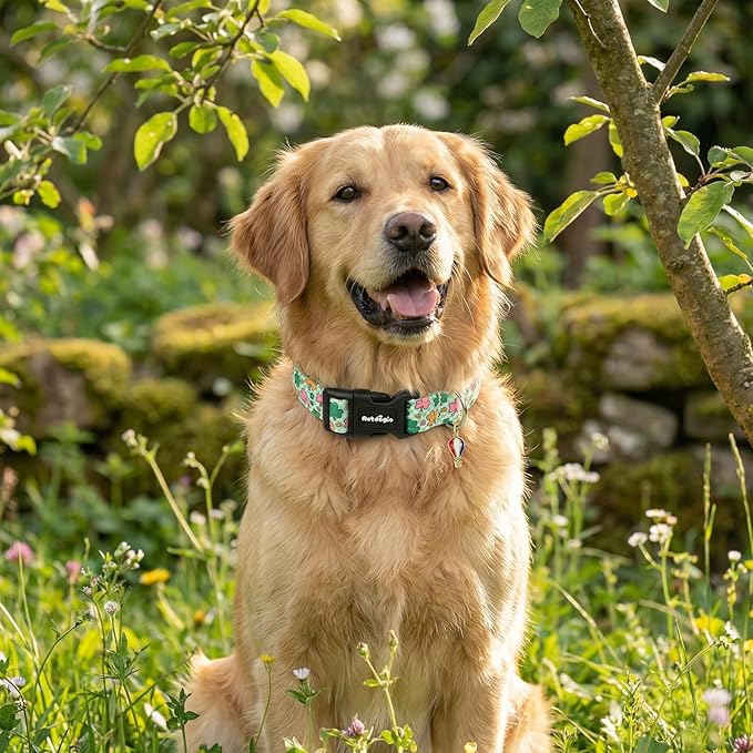 St. Patrick's Day Dog Collar,Puppy Collar with Lucky Shamrock Chequered Pattern,Adjustable Spring Cotton Collars Gifts for Small Medium Large Dogs,Dog Accessories XS