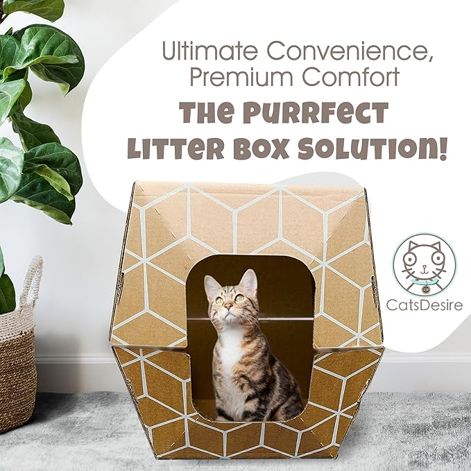 Tallest Disposable Cat Litter Box 15 Trays 2 Trays Litter Box Low Entry Original Patented Indentical Design19 Lx17 Wx8.5 17 in. Closed Box. Woman Lifelong Cat Care Sassy Uses Daily 14 yrs Made-US
