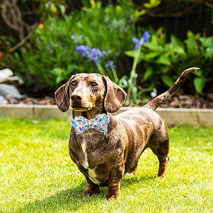 Lionheart glory Dog Collar Bow Collar Floral Dog Collar with Bow Tie Spring Summer Cute Collar Dog Boy or Girl Dog Collars Soft Durable Adjustable Dog Collars for Large Dogs