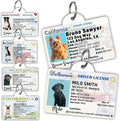 PawFurEver Personalized Dog Driver License ID Tag for Dogs & Cats - Custom Pet License Dog ID Tags Personalized Heavy Duty with Name, Photo & Phone Number, 50 States + DC (Newhampshire, Tag)