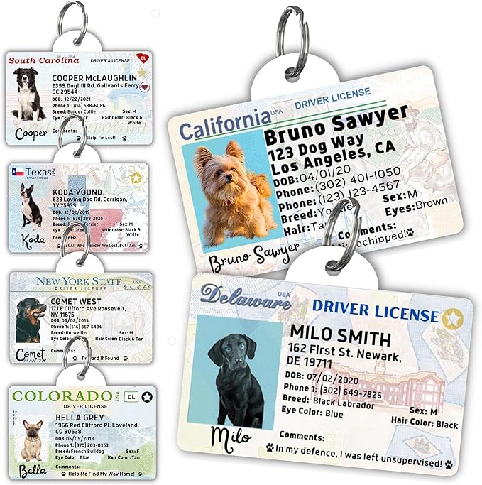 PawFurEver Personalized Dog Driver License ID Tag for Dogs & Cats - Custom Pet License Dog ID Tags Personalized Heavy Duty with Name, Photo & Phone Number, 50 States + DC (Newhampshire, Tag)