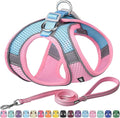 AIITLE Easy Walk Dog Harness and Leash Set - Pet Supply No Pull, Step in Adjustable Pet Harnesses with Padded Vest for Summer, No Choke Over, Easy to Put on Medium Dogs Pink L