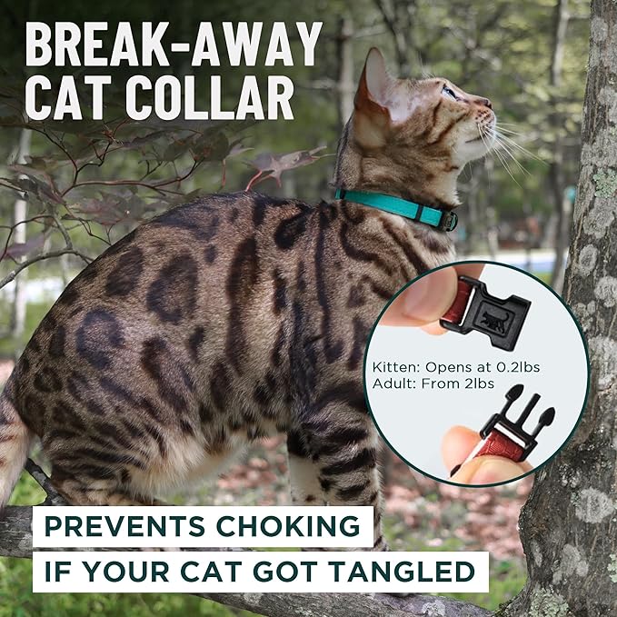 OutdoorBengal Green Breakaway Kitten Collar - Ultra Safe Quick Release Cat Collar for Small Kittens Under 6 Months – Soft-Padded, Lightweight, Adjustable, Thin and Comfortable, No Bell (Green, Kitten)