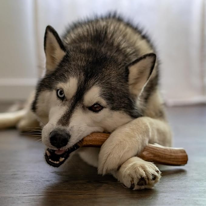 Petstages Outward Hound Super Dogwood Durable Dog Chew Toy, Medium - Long Lasting Chew Stick Made with Real Wood - USA Made, M