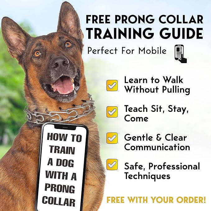 PetJett Prong Collar for Dogs - Choke Collar for Dogs, Pinch Collar for Dog Adjustable No Pull Safety Dog Training Collar for Small Medium Large Breed - Durable Stainless Steel Metal Choker Chain