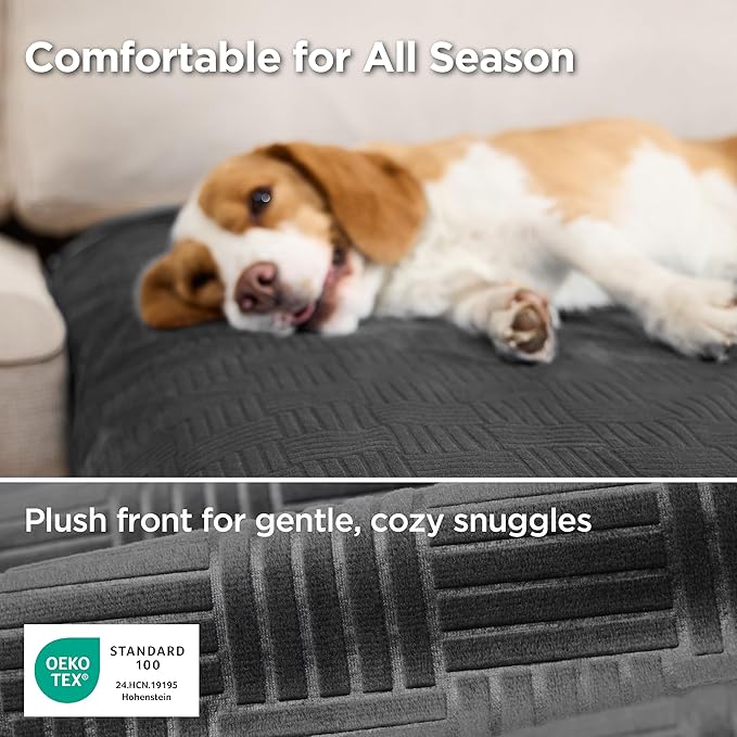 Bedsure Waterproof Couch Cover for Dogs Washable - Waterproof Blanket for Couch Sofa Cozy, Lightweight Furniture Protector for Pet Cat Quick Drying Puppy, Charcoal, 30x70IN