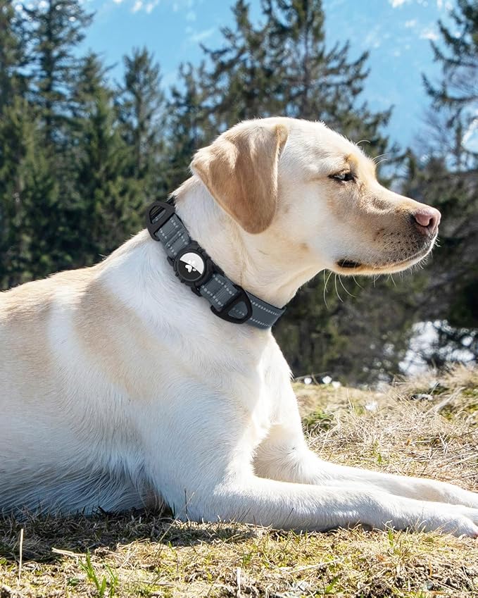 Joytale Airtag Dog Collar, Reflective Pet Collar with Waterproof AirTag Holder, Dual D-Rings, Soft Padded Adjustable for Small Dogs, Gray, S