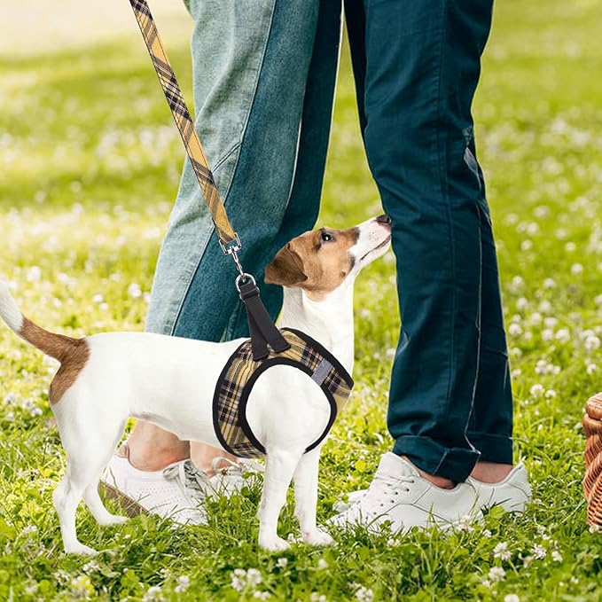 PUPTECK Adjustable Dog Harness Collar and Leash Set Step in No Pull Pet Harness for Small Medium Dogs Puppy and Cats Outdoor Walking Running, Soft Mesh Padded Reflective Vest Harnesses, Yellow, M