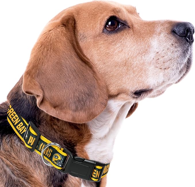 NFL PET Collar Green Bay Packers Dog Collar, Medium Football Team Collar for Dogs & Cats. A Shiny & Colorful Cat Collar & Dog Collar Licensed by The NFL