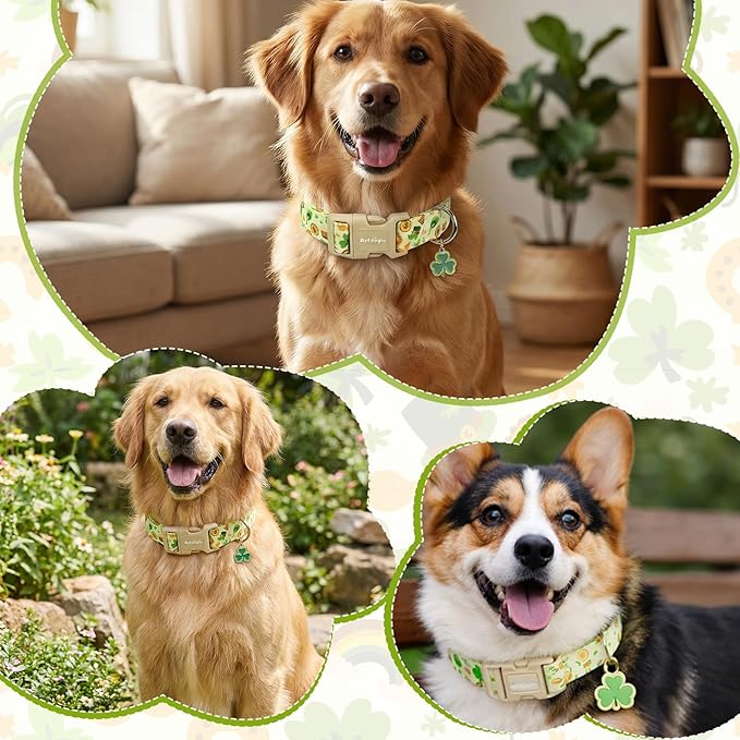 St. Patrick's Day Dog Collar,Light Green Puppy Collar with Lucky Shamrock,Adjustable Spring Cotton Collars Gifts for Small Medium Large Dogs,Dog Accessories M