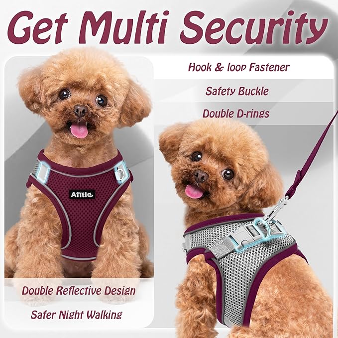 AIITLE Dog Harness, Christmas No-Pull Cat Harness with a Leash, Adjustable Reflective Puppy Vest Harness Escape Proof, Outdoor Walking, Running for Extra Small Dogs and House Cats Burgundy XXXS