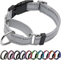 Martingale Dog Collar, Adjustable Nylon Reflective Collar with Buckle No Pull Dog Collar for Small Medium Large Dogs (Grey,L)