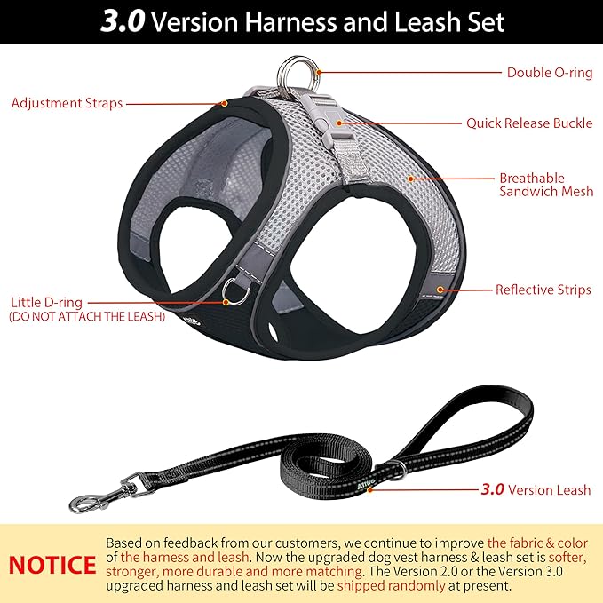 AIITLE Comfortable Dog Harness and Leash Set for Walking - Step in Vest Harness,Reflective Bands, Adjustable No Pull Puppy Essentials, for Small Dogs and House Cats Black XS