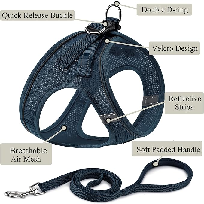 Dog Harness with Leash Set, No Pull Adjustable Reflective Step-in Puppy Pet Vest Harnesses for Small Medium Large Dogs and Cats,Navy Blue XXS