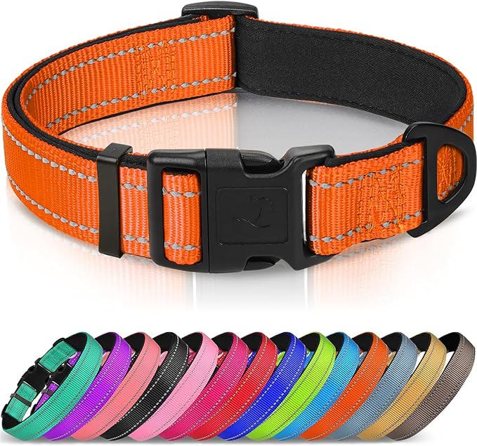 Joytale Reflective Dog Collar, Soft Neoprene Padded, Metal D-Ring, Nylon Pet Collar Adjustable for Large Dogs, Orange, L