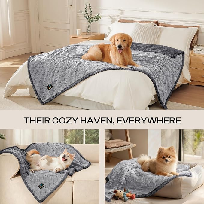 Luciphia Waterproof Pet Blanket, Liquid Pee Proof Dog Blanket for Sofa Bed Couch, Reversible Sherpa Fleece Furniture Protector Cover for Small Medium Large Dogs Cats, Light Grey Queen Size（90" x 82"）
