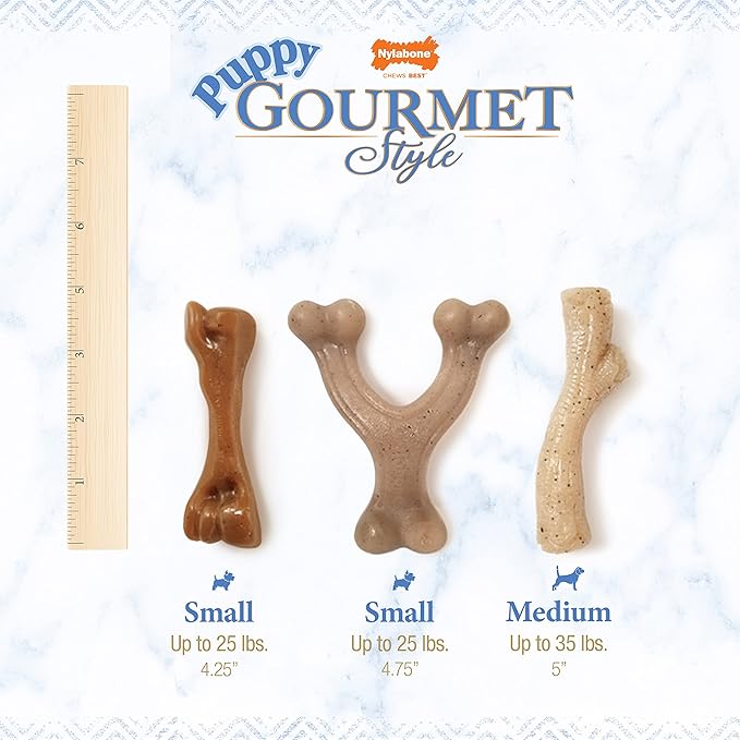 Nylabone Gourmet Style Femur & Wishbone Strong Chew Toy for Puppies, Puppy Teething Toy, Bacon & Peanut Butter Flavor, Small Dogs - Up to 25 Ibs, 2 Pack