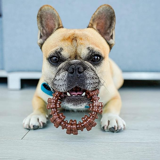 Nylabone Textured Ring Power Chew Toy for Small Dogs, Tough Dog Toys Durable Design for Aggressive Chewers, Best Dog Boredom Toys, Flavor Medley, Small - Up to 25 lbs (1 Count)