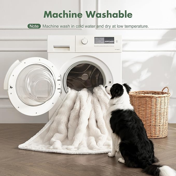 Soft Cozy Waterproof Twin Blanket for Bed Intimacy - Room Decor Large Dog Blankets for Bed Protector, Washable Pet Blankets for Indoors & Outdoors, Cream, 60"x80"