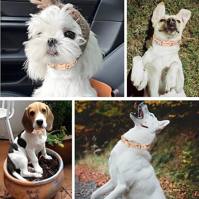 Autumn Dog Collar，Soft Cotton Handmade Pet Collar with Autumn Tea Party Design for Small Medium Large Dogs, Adjustable Collars for Fall Walks，Tea-Time Adventures & Fireside Snuggles -S