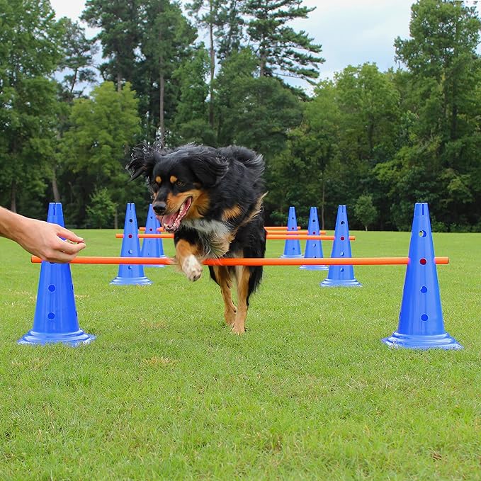 Dog Agility Hurdle Cone Set - 8 Cones & 4 Rods - Adjustable, Versatile, Heavy Duty - Agility, Obedience, Rehabilitation