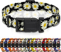 Dog Collar, Daisy Boys Girls Puppy Collar for Small Medium Large Dogs, Adjustable Soft Floral Pet Collar with Safety Buckle for Male Females(Black Daisy,L)