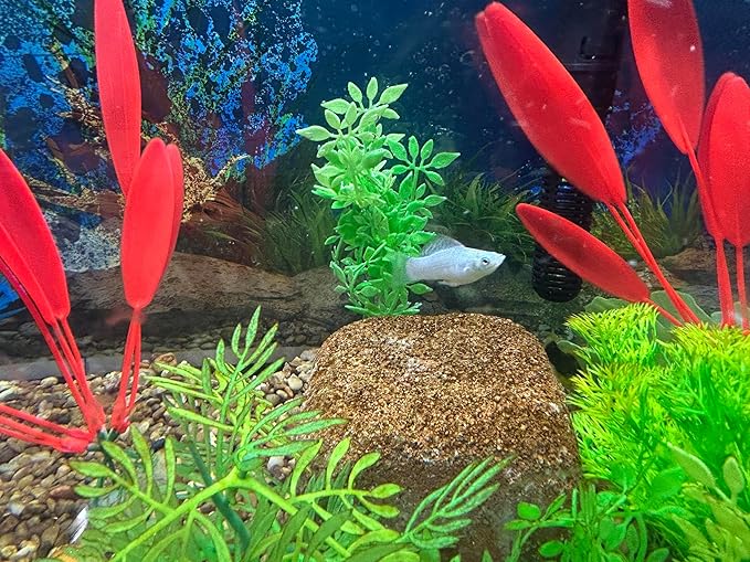 Aquarium Stone for Natural Water Clarification and Odor Removal Featuring Beneficial Bacteria (Nano)