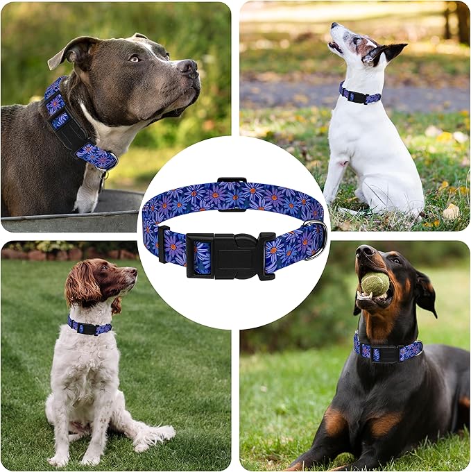 Dog Collar, Classical Indian Spirit Boys Girls Puppy Collar for Small Medium Large Dogs, Adjustable Soft Indian Pet Collar with Safety Buckle for Male Females(Purple,M)