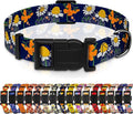 Dog Collar with Butterflies Print, Daisy Boys Girls Puppy Collar for Small Medium Large Dogs, Adjustable Soft Floral Pet Collar with Safety Buckle for Male Females(Blue Butterfly,L)