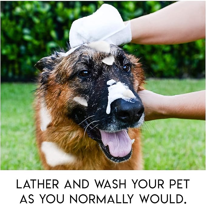 No Rinse Pet Wipes | Rinse Free Shampoo Mittens | Dogs & Cats | Bath Wipes - Bathing & Washing Pets, Hypoallergenic | No Rinse Wash Mitt | Grooming, Lather Wipe Dry - Pack of 10