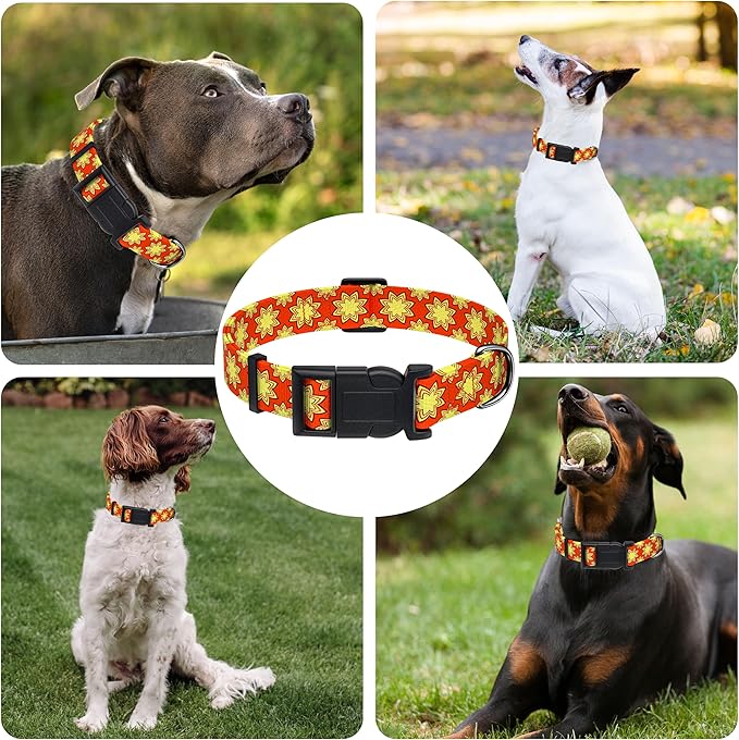 Dog Collar, Classical Indian Spirit Boys Girls Puppy Collar for Small Medium Large Dogs, Adjustable Soft Indian Pet Collar with Safety Buckle for Male Females(Yellow,L)