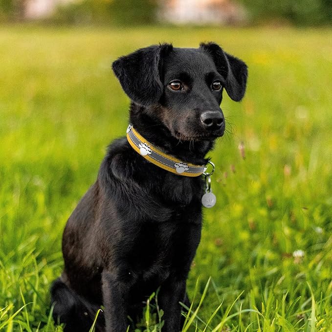 PETCARE Reflective Dog Collar with Cute Paw Rivet Studded Funny Soft PU Leather Adjustable Puppy Dog Collars for Small Medium Large Dogs Cats (Yellow,XX-Large)