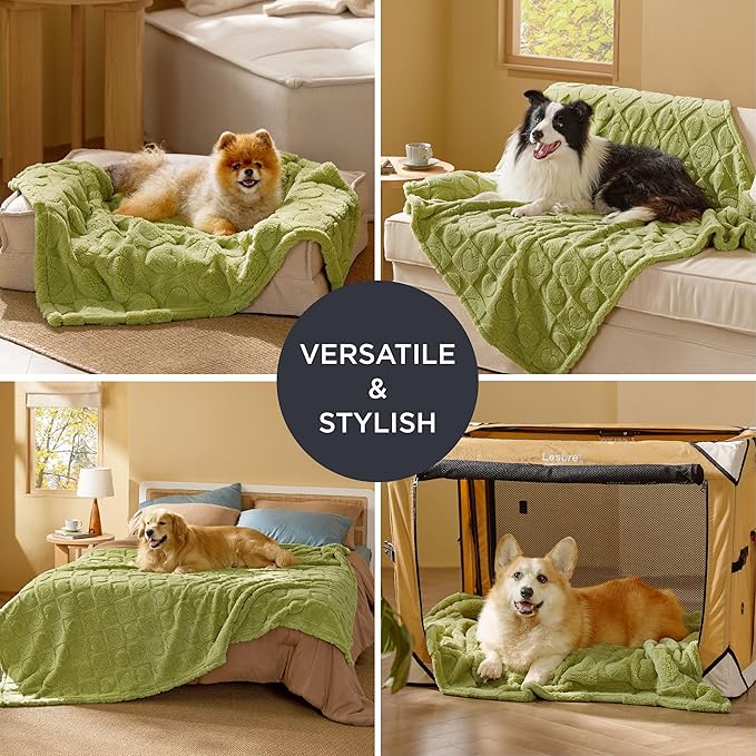 Bedsure Dog Blanket for Large Dogs Washable - Fluffy Fuzzy Puppy Cat Blanket with Premium 300GSM Coral Fleece Soft for Pet Kitten Doggy, Green, 40x50IN