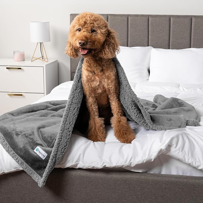 PetAmi Waterproof Dog Blanket for Medium Large Dog Puppy Cat Throw for Couch Cover Leakproof Protection, Sherpa Fleece, Reversible Soft Washable 60x40 Light Gray