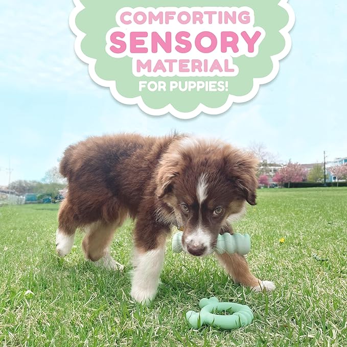 Nylabone Sensory Material Soothing Puppy Chew Toy Ring, Toys for Teething Puppies, Chicken Flavor, Small - Up to 25 lbs, 1 Count