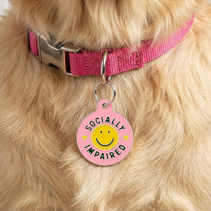 Bad Tags Personalized Dog and Cat ID Tags in 25+ Designs and 2 Sizes - 5 Lines of Custom Engraved Text - Funny Cute Personalized Pet Tags (Socially Impaired - Pink, Large (1.25 inch))